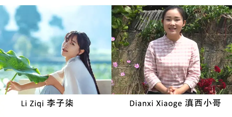 Li Ziqi vs Dianxi Xiaoge