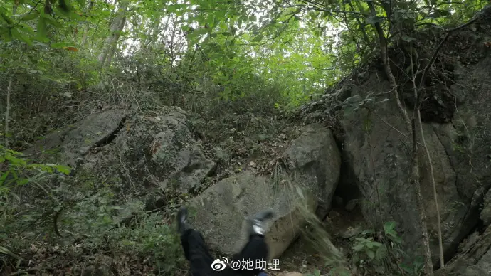 Li Ziqi Falling off Rock 5