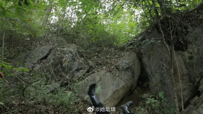 Li Ziqi Falling off Rock 6